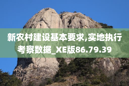 新农村建设基本要求,实地执行考察数据_XE版86.79.39