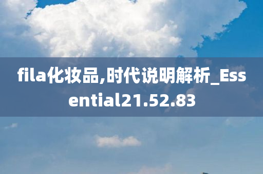 fila化妆品,时代说明解析_Essential21.52.83