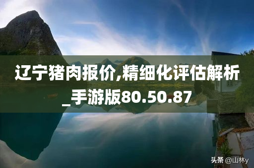 辽宁猪肉报价,精细化评估解析_手游版80.50.87