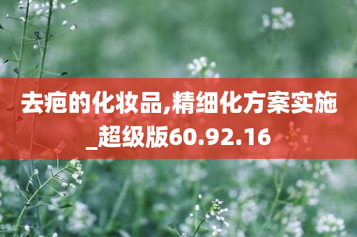 去疤的化妆品,精细化方案实施_超级版60.92.16