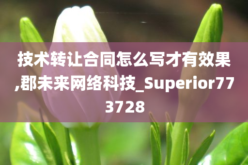 技术转让合同怎么写才有效果,郡未来网络科技_Superior773728