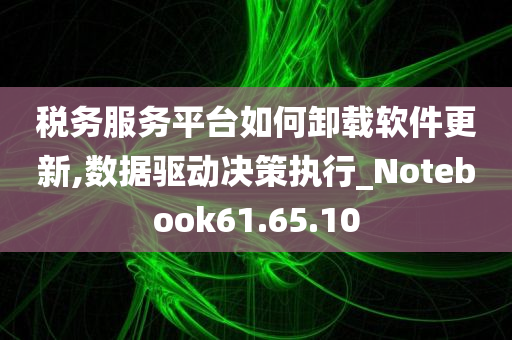 税务服务平台如何卸载软件更新,数据驱动决策执行_Notebook61.65.10