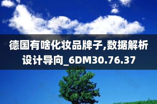 德国有啥化妆品牌子,数据解析设计导向_6DM30.76.37