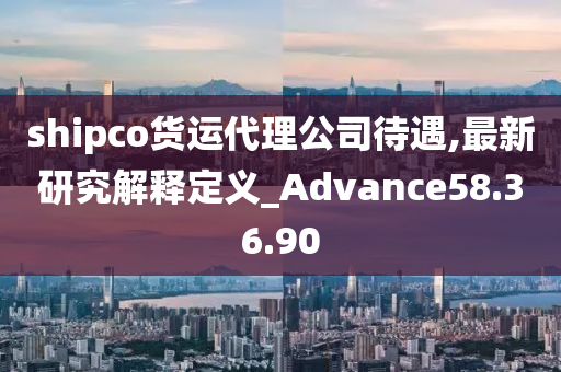 shipco货运代理公司待遇,最新研究解释定义_Advance58.36.90