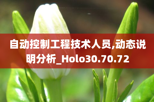 自动控制工程技术人员,动态说明分析_Holo30.70.72