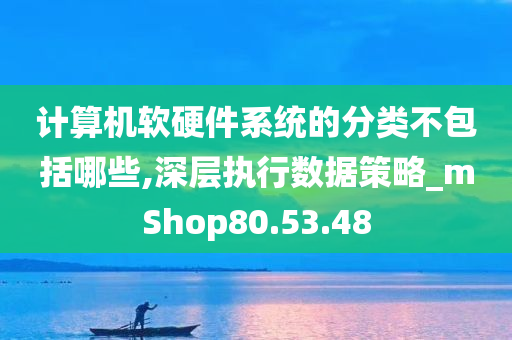 计算机软硬件系统的分类不包括哪些,深层执行数据策略_mShop80.53.48