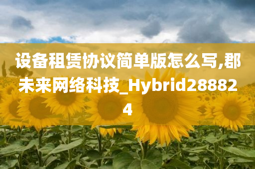 设备租赁协议简单版怎么写,郡未来网络科技_Hybrid288824