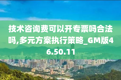 技术咨询费可以开专票吗合法吗,多元方案执行策略_GM版46.50.11