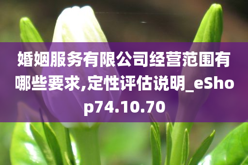 婚姻服务有限公司经营范围有哪些要求,定性评估说明_eShop74.10.70