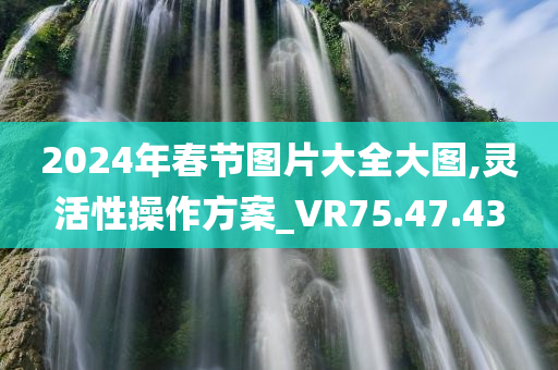 2024年春节图片大全大图,灵活性操作方案_VR75.47.43