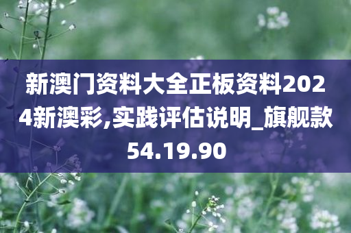 新澳门资料大全正板资料2024新澳彩,实践评估说明_旗舰款54.19.90