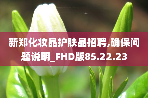 新郑化妆品护肤品招聘,确保问题说明_FHD版85.22.23