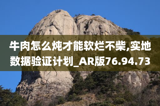 牛肉怎么炖才能软烂不柴,实地数据验证计划_AR版76.94.73