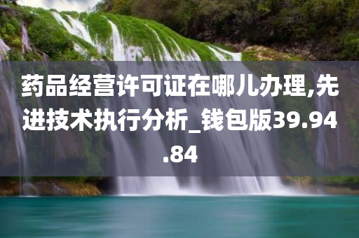 药品经营许可证在哪儿办理,先进技术执行分析_钱包版39.94.84