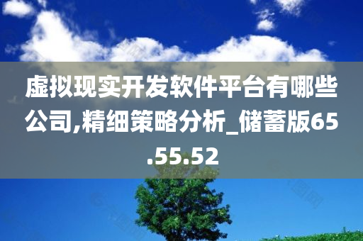 虚拟现实开发软件平台有哪些公司,精细策略分析_储蓄版65.55.52