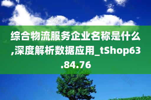 综合物流服务企业名称是什么,深度解析数据应用_tShop63.84.76