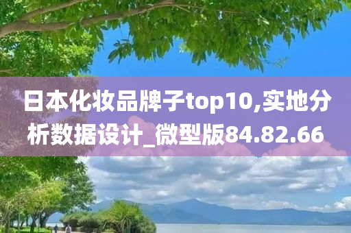 日本化妆品牌子top10,实地分析数据设计_微型版84.82.66