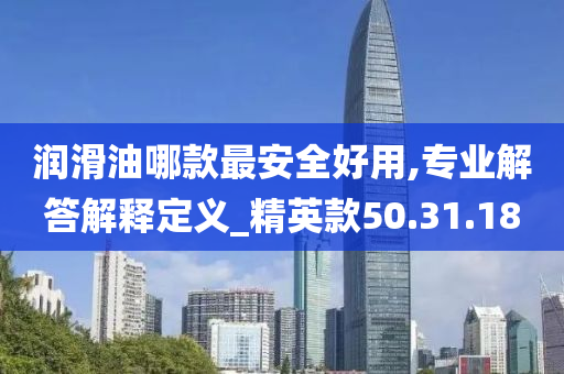 润滑油哪款最安全好用,专业解答解释定义_精英款50.31.18