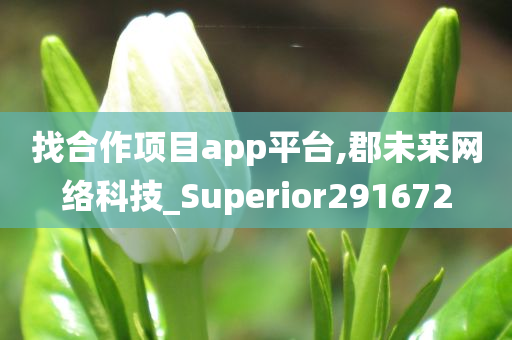 找合作项目app平台,郡未来网络科技_Superior291672