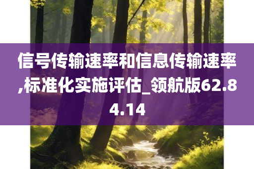 信号传输速率和信息传输速率,标准化实施评估_领航版62.84.14