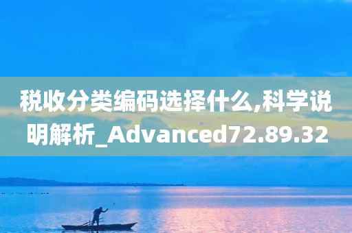 税收分类编码选择什么,科学说明解析_Advanced72.89.32