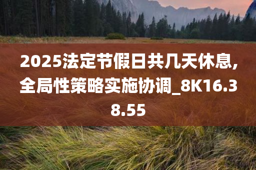 2025法定节假日共几天休息,全局性策略实施协调_8K16.38.55