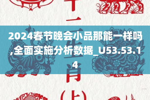 2024春节晚会小品那能一样吗,全面实施分析数据_U53.53.14