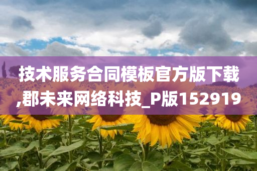 技术服务合同模板官方版下载,郡未来网络科技_P版152919