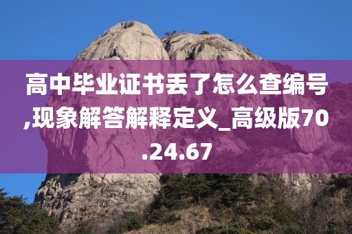 高中毕业证书丢了怎么查编号,现象解答解释定义_高级版70.24.67