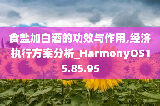 食盐加白酒的功效与作用,经济执行方案分析_HarmonyOS15.85.95