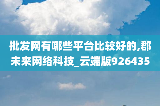 批发网有哪些平台比较好的,郡未来网络科技_云端版926435