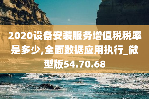 2020设备安装服务增值税税率是多少,全面数据应用执行_微型版54.70.68