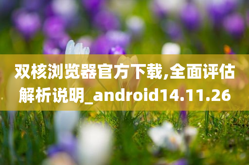 双核浏览器官方下载,全面评估解析说明_android14.11.26