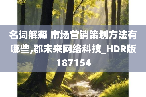 名词解释 市场营销策划方法有哪些,郡未来网络科技_HDR版187154