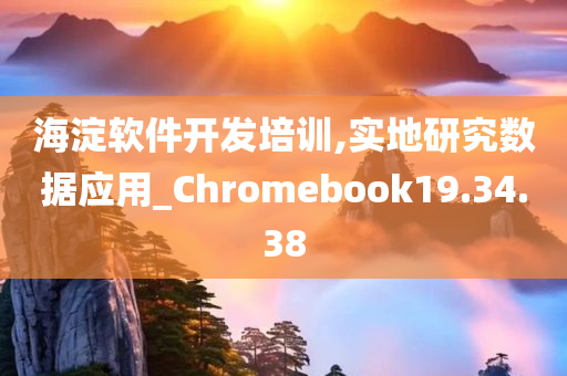 海淀软件开发培训,实地研究数据应用_Chromebook19.34.38