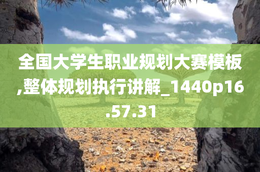 全国大学生职业规划大赛模板,整体规划执行讲解_1440p16.57.31