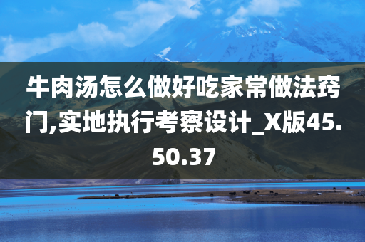 牛肉汤怎么做好吃家常做法窍门,实地执行考察设计_X版45.50.37