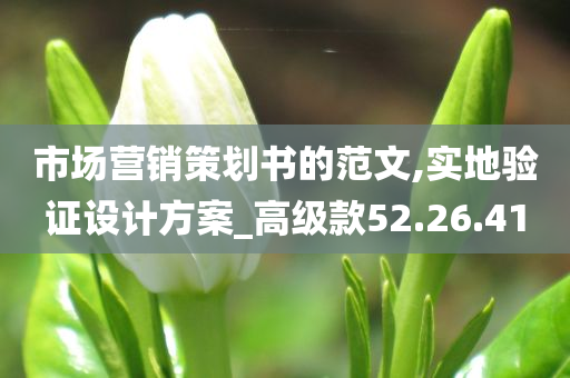 市场营销策划书的范文,实地验证设计方案_高级款52.26.41