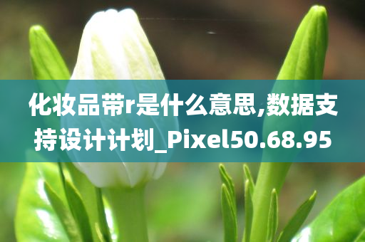 化妆品带r是什么意思,数据支持设计计划_Pixel50.68.95