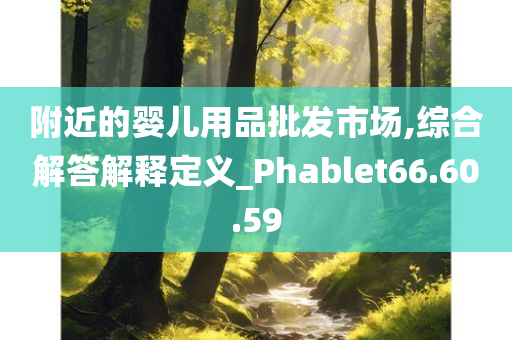 附近的婴儿用品批发市场,综合解答解释定义_Phablet66.60.59