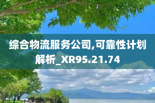 综合物流服务公司,可靠性计划解析_XR95.21.74