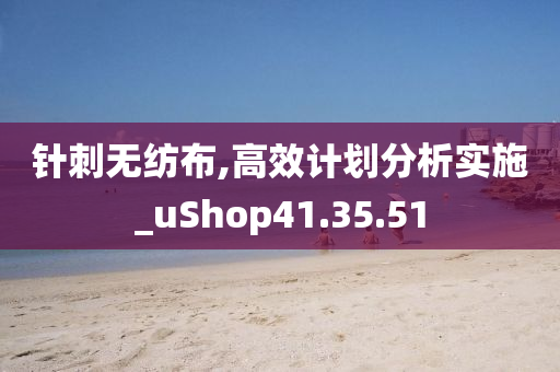 针刺无纺布,高效计划分析实施_uShop41.35.51