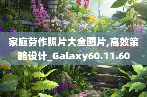 家庭劳作照片大全图片,高效策略设计_Galaxy60.11.60