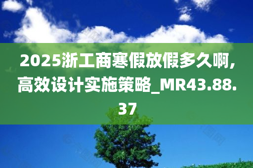 2025浙工商寒假放假多久啊,高效设计实施策略_MR43.88.37