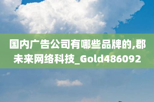 国内广告公司有哪些品牌的,郡未来网络科技_Gold486092