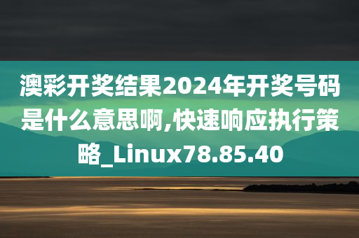 澳彩开奖结果2024年开奖号码是什么意思啊,快速响应执行策略_Linux78.85.40