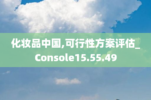 化妆品中国,可行性方案评估_Console15.55.49