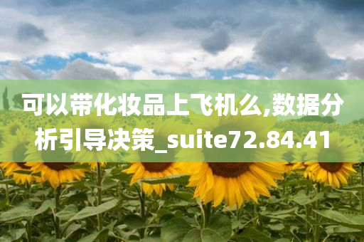 可以带化妆品上飞机么,数据分析引导决策_suite72.84.41