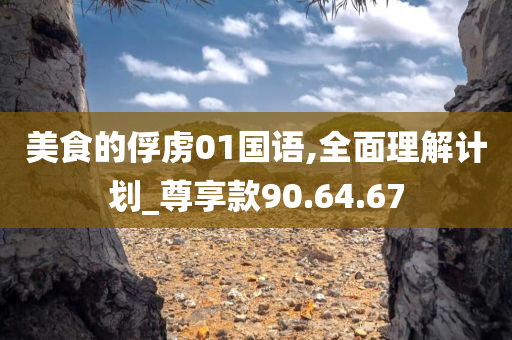 美食的俘虏01国语,全面理解计划_尊享款90.64.67