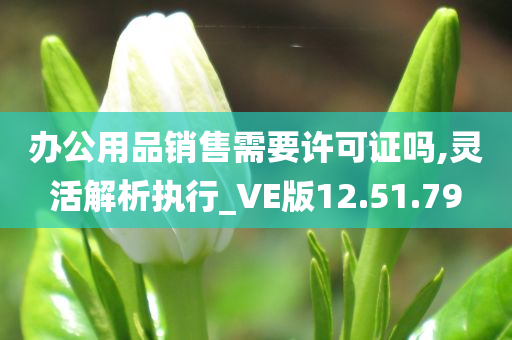 办公用品销售需要许可证吗,灵活解析执行_VE版12.51.79